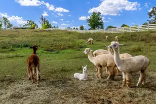 7830 N Pillow Hill Rd, Spring Grove, IL 60081 - Photo 60