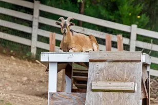 7830 N Pillow Hill Rd, Spring Grove, IL 60081 - Photo 62