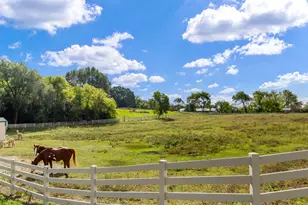 7830 N Pillow Hill Rd, Spring Grove, IL 60081 - Photo 66