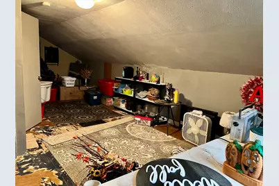 117 W South Street, Cerro Gordo, IL 61818 - Photo 24