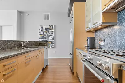 [Address not provided], Chicago, IL 60654 - Photo 12