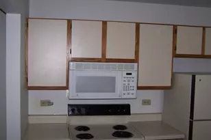 4302 W Shamrock Ln, McHenry, IL 60050 - Photo 6