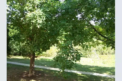 4302 W Shamrock Lane #2-G, McHenry, IL 60050 - Photo 2