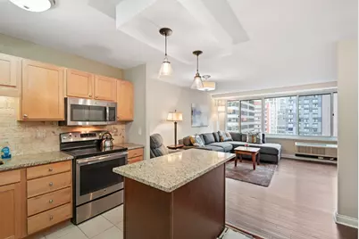 211 E Ohio Street #1401, Chicago, IL 60611 - Photo 12