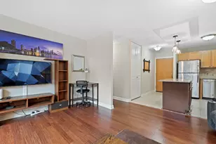 211 E Ohio St, Chicago, IL 60611 - Photo 6