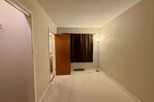 401 W Bradley Ave, Champaign, IL 61820 - Photo 10