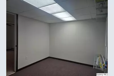 1797 E County Rd 1540 N, Carthage, IL 62321 - Photo 22