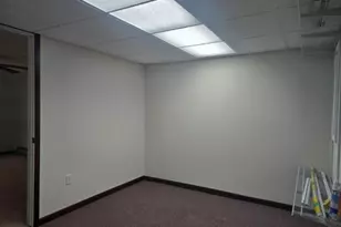 1797 E County Rd 1540 N, Carthage, IL 62321 - Photo 22