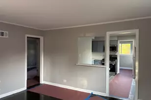 21945 Millard Ave, Richton Park, IL 60471 - Photo 4