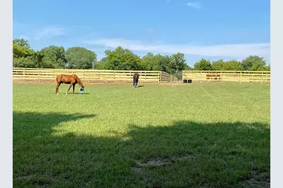 708 S Rose Farm Road, Woodstock, IL 60098 - Photo 76