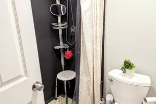 724 S Oakley Blvd, Chicago, IL 60612 - Photo 10