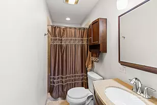 6 Phelps Ct, Manteno, IL 60950 - Photo 16
