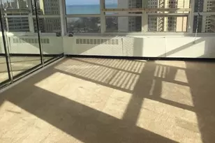 4800 S Chicago Beach Dr, Chicago, IL 60615 - Photo 2