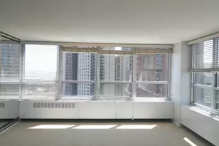 4800 S Chicago Beach Dr, Chicago, IL 60615 - Photo 4