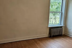 4751 S Forrestville Ave, Chicago, IL 60615 - Photo 18