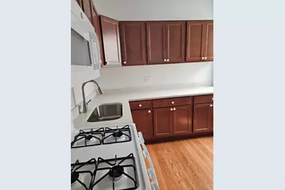 4751 S Forrestville Avenue #1N, Chicago, IL 60615 - Photo 6