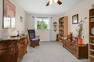 1042 Catalpa Ct, Beecher, IL 60401 - Photo 14