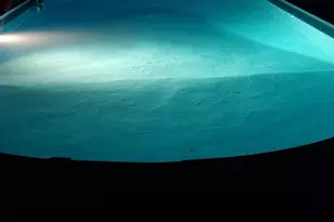 1042 Catalpa Ct, Beecher, IL 60401 - Photo 28