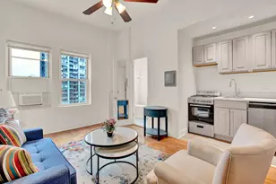 1100 N La Salle Dr, Chicago, IL 60610 - Photo 4