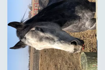 1985 N 670 E Road, Gilman, IL 60938 - Photo 46