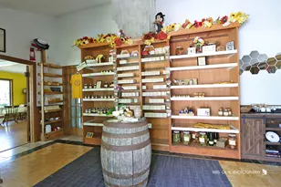 91 S Milwaukee Ave, Vernon Hills, IL 60061 - Photo 4