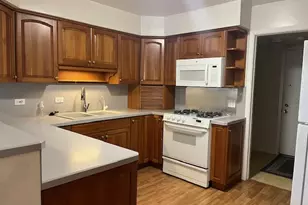 839 Dracut Ln, Schaumburg, IL 60173 - Photo 6