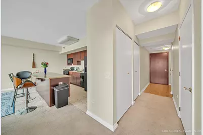 33 W Ontario Street #33i, Chicago, IL 60654 - Photo 2