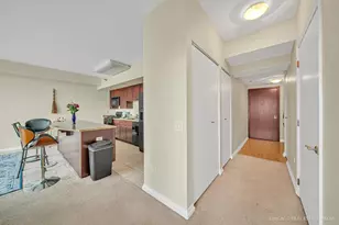 33 W Ontario St, Chicago, IL 60654 - Photo 2