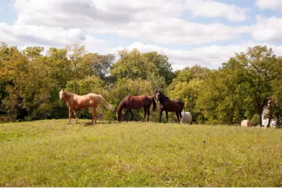 204 Country Commons Road, Trout Valley, IL 60013 - Photo 42