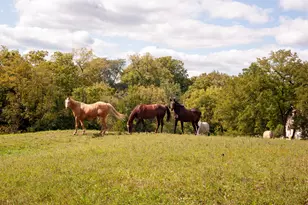 204 Country Commons Rd, Trout Valley, IL 60013 - Photo 42