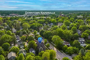 203 S Columbia St, Naperville, IL 60540 - Photo 4