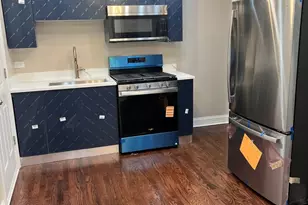 8521 S St Lawrence Ave, Chicago, IL 60619 - Photo 4