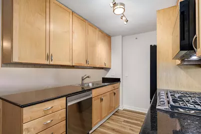 9655 Woods Drive #507, Skokie, IL 60077 - Photo 8