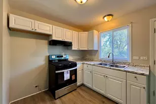 313 N Park Dr, Glenwood, IL 60425 - Photo 6