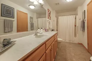 6254 Kallsen Dr, Tinley Park, IL 60477 - Photo 10