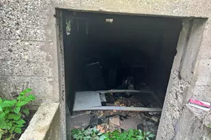 9398 S Kreiter Ave, Chicago, IL 60617 - Photo 12