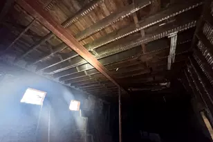 9398 S Kreiter Ave, Chicago, IL 60617 - Photo 26