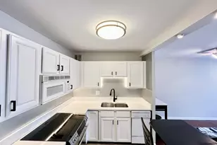 100 E Walton Pl, Chicago, IL 60611 - Photo 2