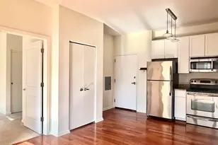 1 E 8th St, Chicago, IL 60605 - Photo 6