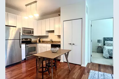 1 E 8th Street #307, Chicago, IL 60605 - Photo 18