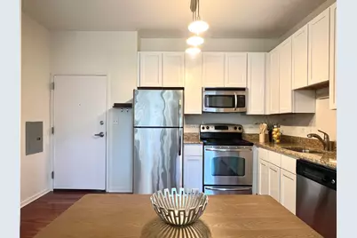 1 E 8th Street #307, Chicago, IL 60605 - Photo 20