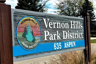 307 Albright Ct, Vernon Hills, IL 60061 - Photo 34