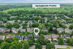 567 Roxbury Dr, Naperville, IL 60565 - Photo 36