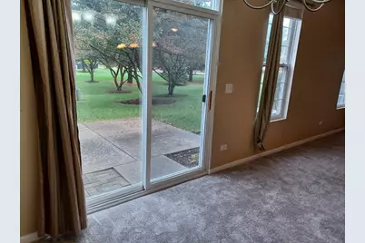 24333 Leski Lane, Plainfield, IL 60585 - Photo 6