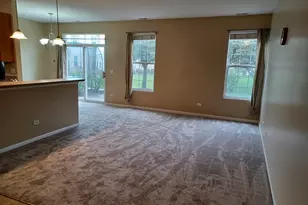 24333 Leski Ln, Plainfield, IL 60585 - Photo 2