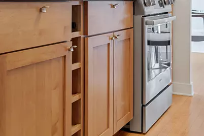 111 E Chestnut Street #54G, Chicago, IL 60611 - Photo 10