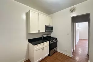 1159 W Lunt Ave, Chicago, IL 60626 - Photo 4