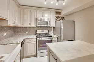 230 E Ontario St, Chicago, IL 60611 - Photo 8