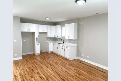 1440 S Kedvale Avenue, Chicago, IL 60623 - Photo 2