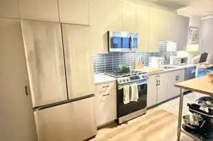 1114 W Carroll Ave, Chicago, IL 60607 - Photo 8